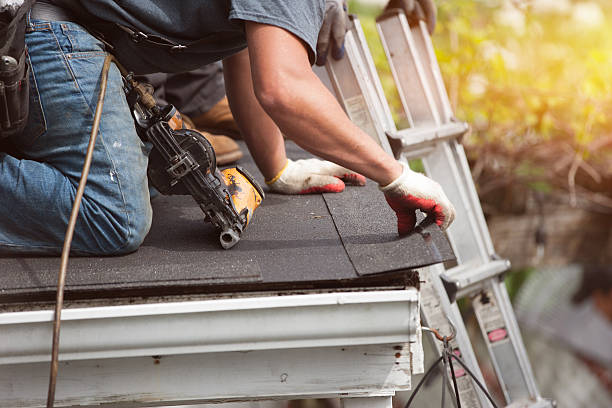 Best Roof Gutter Cleaning  in Selbyville, DE